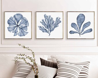 Juego imprimible de arte de 3 impresiones cuadradas descargables de pinturas de acuarela de abanicos de mar azul marino, decoración de pared de sala de estar de tres piezas a juego