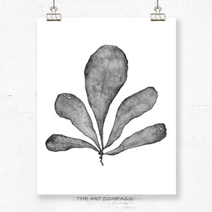 Printable Wall Art Botanical Print Set of 3 Watercolour Paintings, Black and White Prints 8x10 16x20 24x30 Coastal Artwork Office Wall Decor