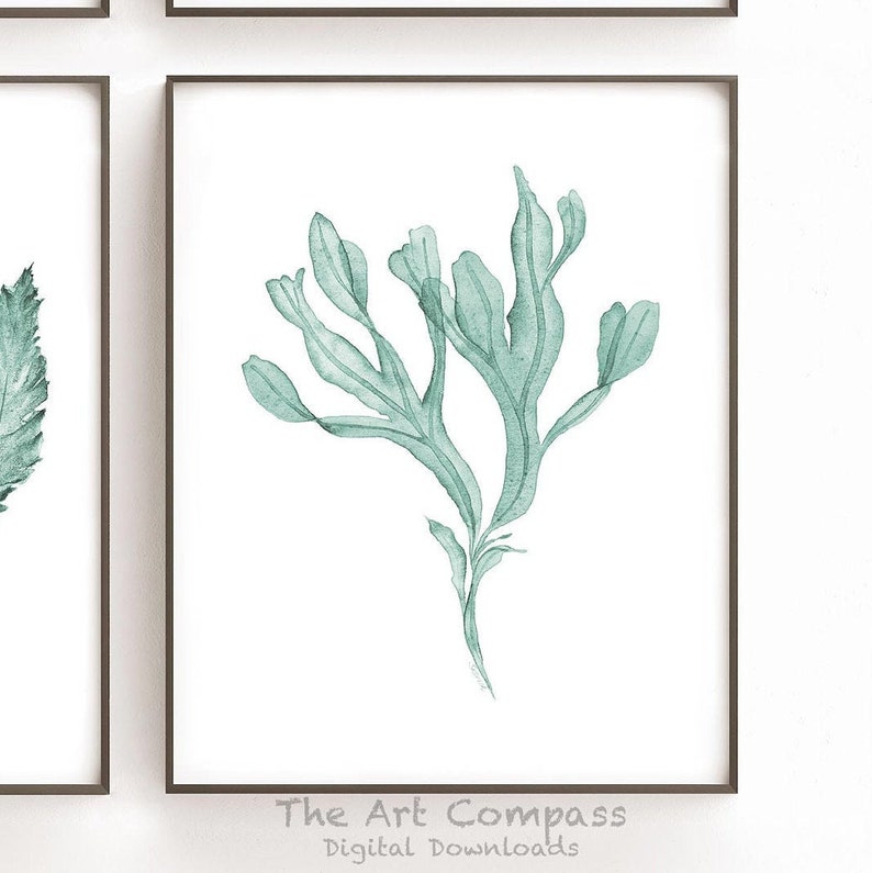 May include: A watercolor painting of a single green seaweed branch on a white background. The painting is framed in a black frame. The text "The Art Compass Digital Downloads" is at the bottom of the image.
