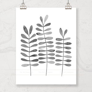 Printable Art Print of Black and White Plant Illustration, Digital ...
