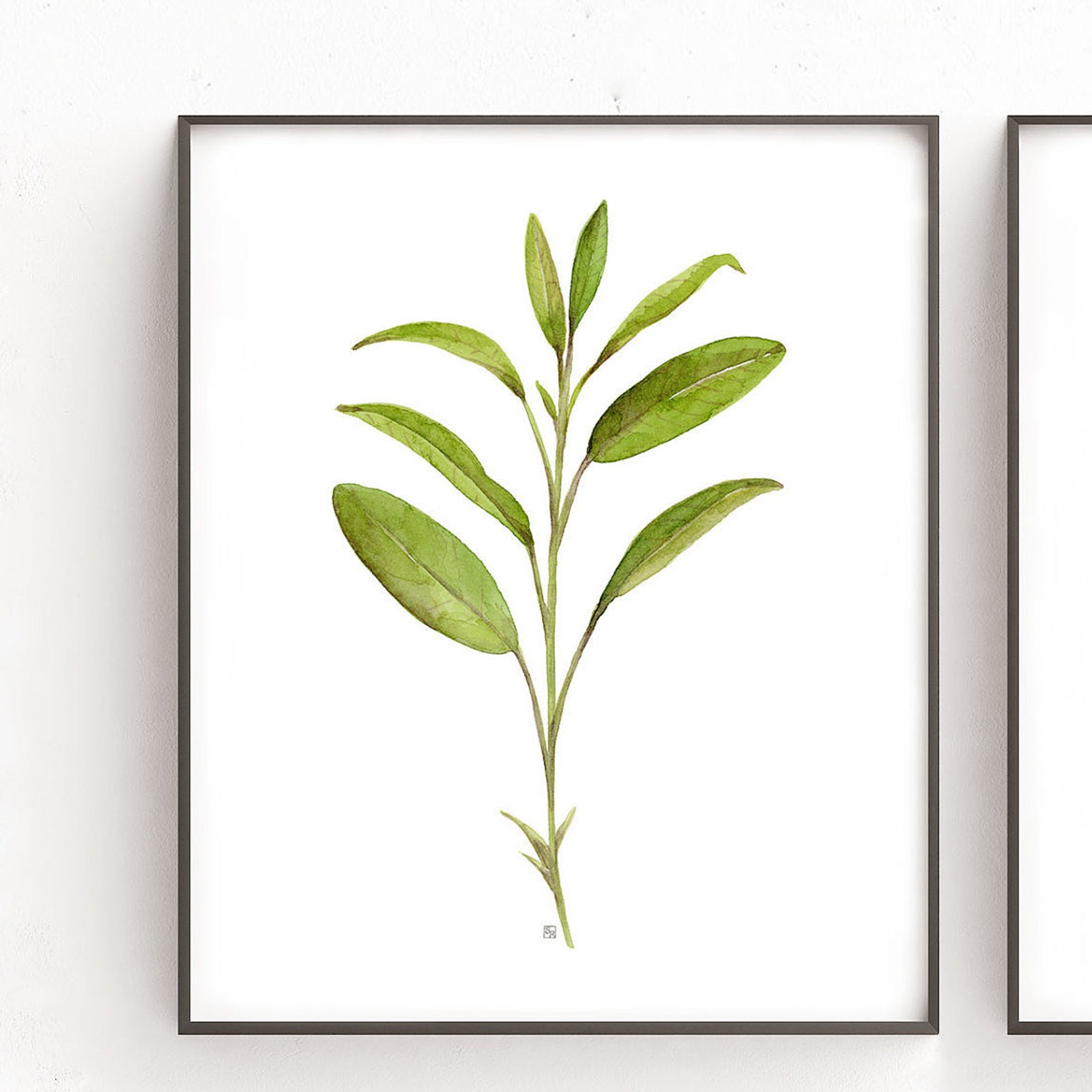 Herb Prints Set of 4 Plant Printable Wall Art Kitchen Wall Etsy