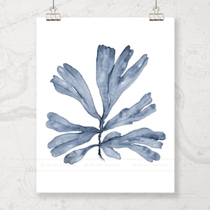 May include: A watercolor painting of a blue seaweed plant on a white background.