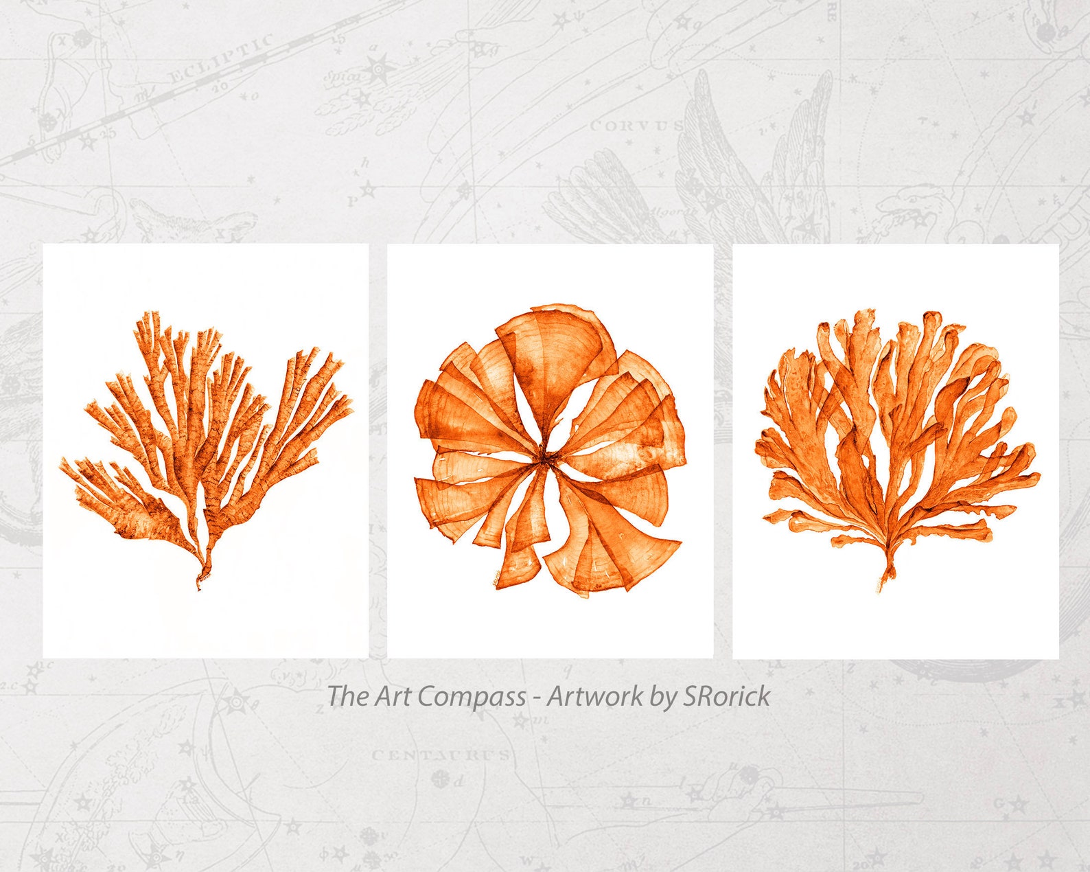 Coral Sea Fan Printable Wall Art Digital Prints Download in - Etsy
