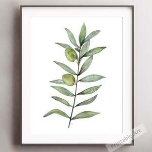 Printable Wall Art Print, Botanical Painting of Olive Leaf Branch, Downloadable Art, Green Dining Room Artwork for Walls, Kitchen Wall Decor