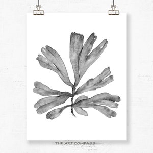 Printable Wall Art Botanical Print Set of 3 Watercolour Paintings, Black and White Prints 8x10 16x20 24x30 Coastal Artwork Office Wall Decor