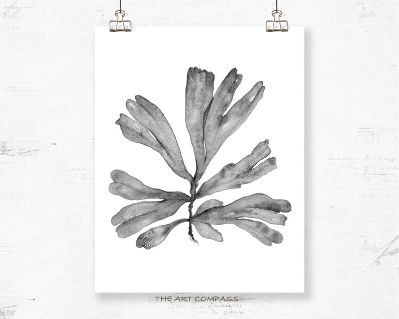 Printable Wall Art Botanical Print Set of 3 Watercolour Paintings, Black and White Prints 8x10 16x20 24x30 Coastal Artwork Office Wall Decor