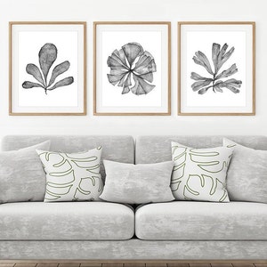 Printable Wall Art Botanical Print Set of 3 Watercolour Paintings, Black and White Prints 8x10 16x20 24x30 Coastal Artwork Office Wall Decor