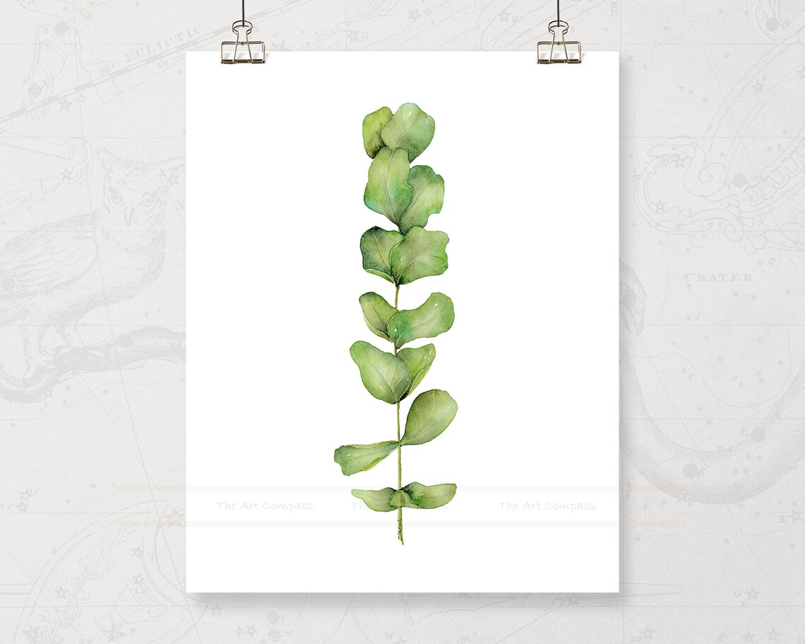 Printable Wall Art Size 11x14 Inches Botanical Prints Gallery - Etsy