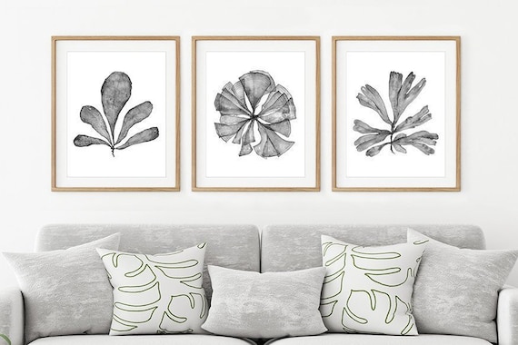 Printable Wall Art Botanical Print Set of 3 Watercolour Paintings, Black and White Prints 8x10 16x20 24x30 Coastal Artwork Office Wall Decor