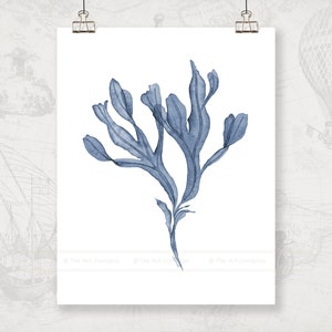 May include: A watercolor painting of a blue seaweed plant on a white background.