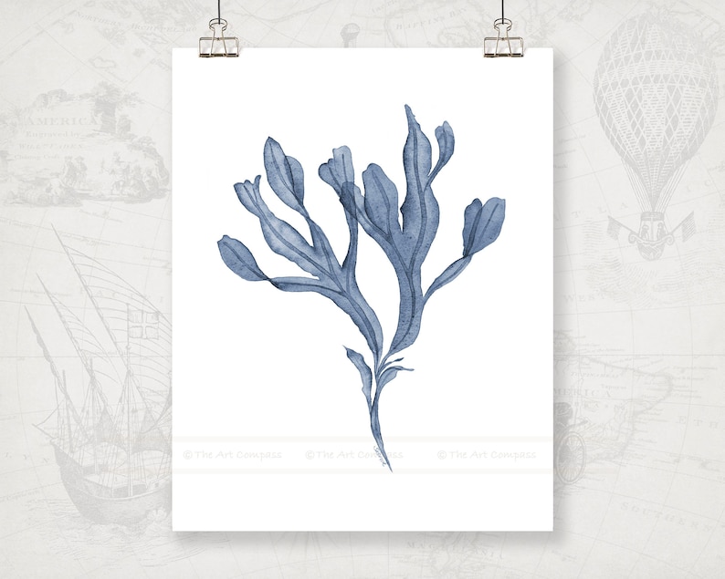 May include: A watercolor painting of a blue seaweed plant on a white background.