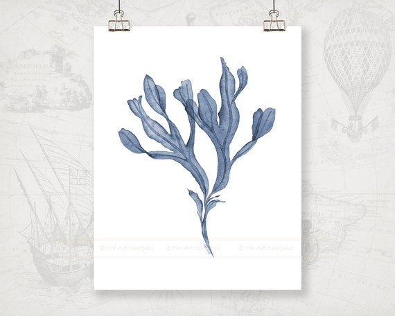 Blue Sea Fan Digital Download Printable Art, Watercolor Coral Print, Navy Wall Art for Coastal Decor, Plant Art for Bathroom Wall Decor