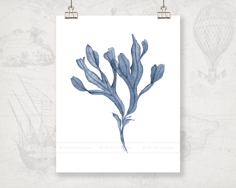 May include: A watercolor painting of a blue seaweed plant on a white background.