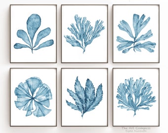 Printable Wall Art Size 11x14 Inches, Hamptons Style Coastal Decor, Botanical Prints Gallery Wall Set, Six Piece Wall Art Sea Fan Paintings