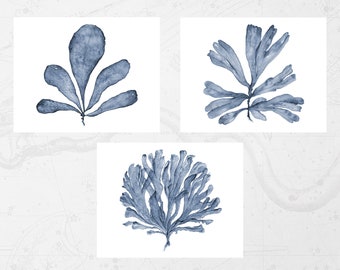 Printable Wall Art Set of 3 Prints in 11x14 Landscape, Digital Print Download of Blue Sea Fan Watercolor Paintings, Three Piece Wall Decor