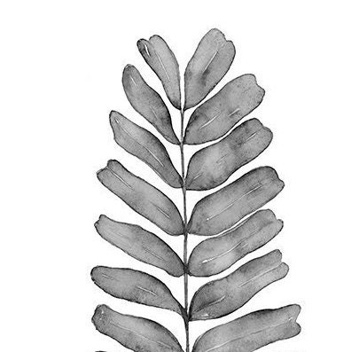 Printable Wall Art in Black and White Botanical Print Digital | Etsy