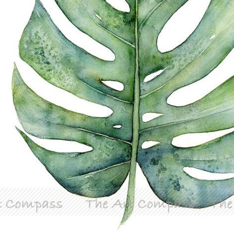 Printable Wall Art Botanical Print Set of 2 8x10 16x20 20x30 - Etsy