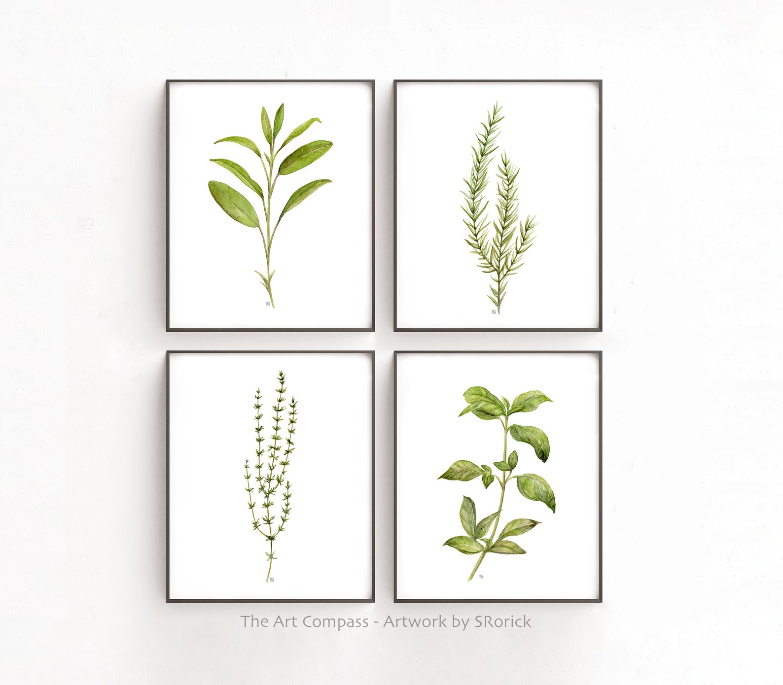 Herb Prints Set of 4 Plant Printable Wall Art Kitchen Wall | Etsy
