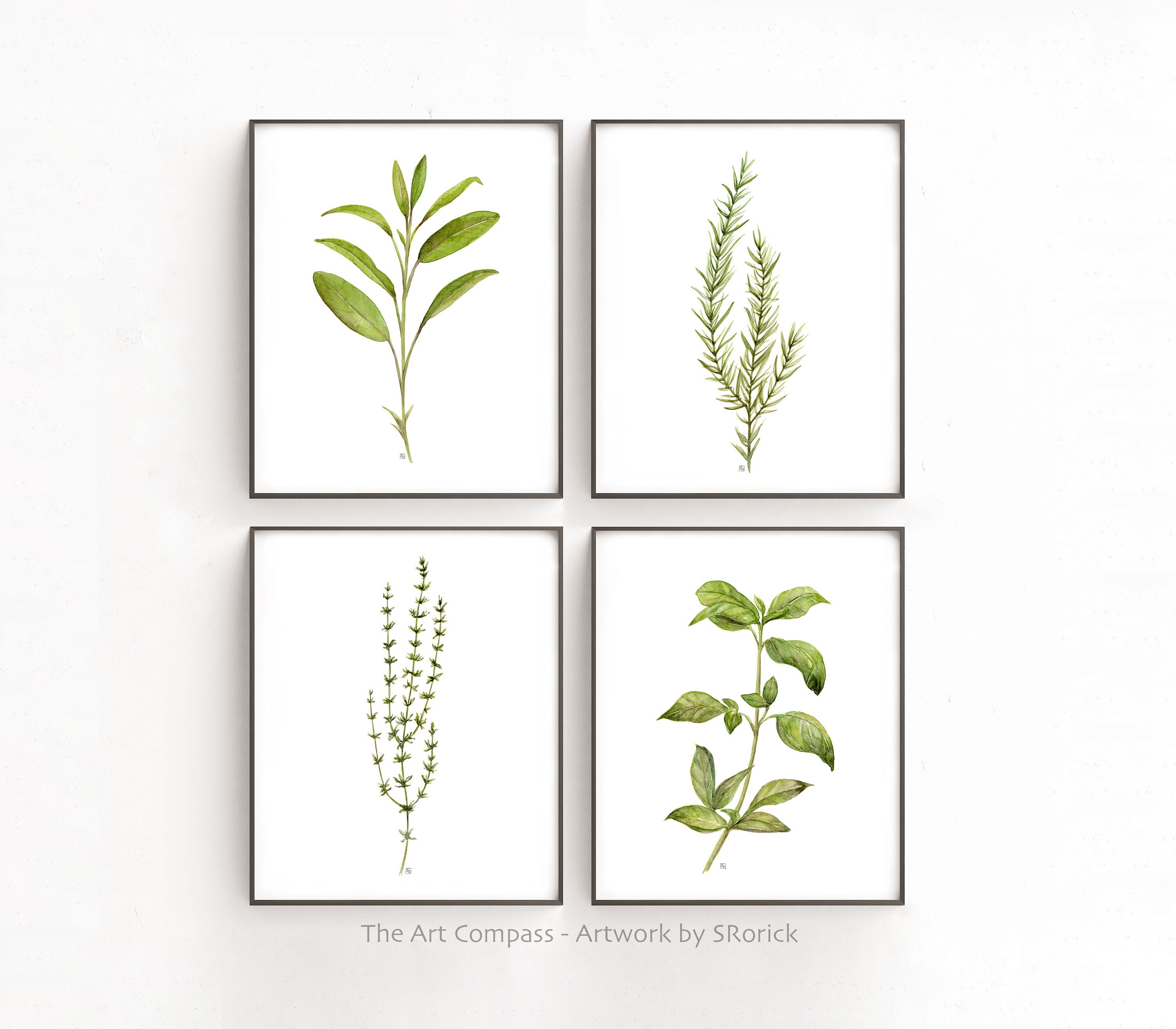 Herb Prints Set of 4 Plant Printable Wall Art Kitchen Wall | Etsy