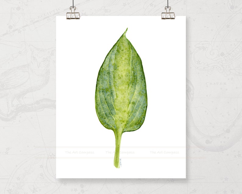 Printable Art Prints, Green Tropical Leaf Art, Gallery Wall Set of 6 ...