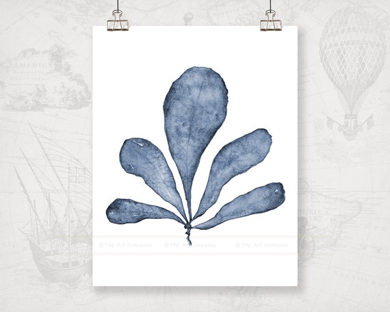 Blue Printable Wall Art, Sea Fan Watercolor Painting, Instant Download File JPEG, Navy Art for Bedroom Walls, Coastal Cottage Wall Decor