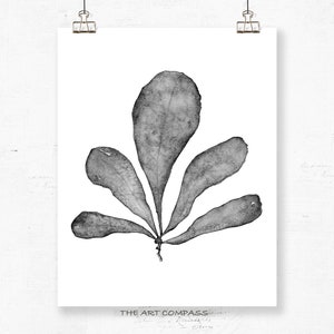 Printable Art Set of Four Prints, 8x10 16x20, Sea Fan Coastal Decor ...