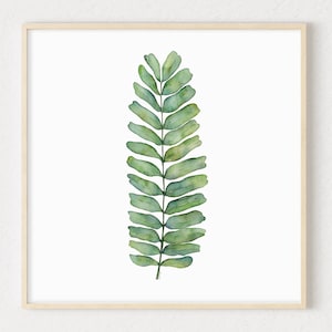 May include: A watercolor painting of a single green fern leaf on a white background.