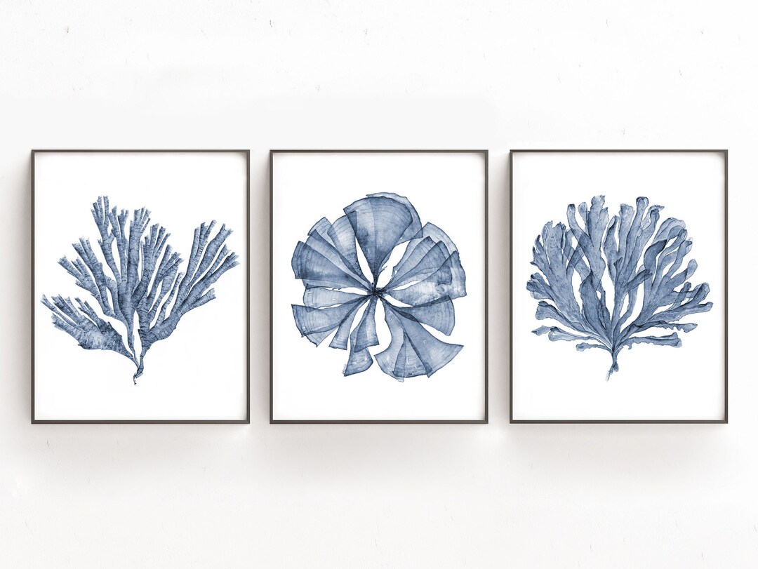 Printable Wall Art, Coral Sea Fan Botanical Print Set of 3 Gallery Wall