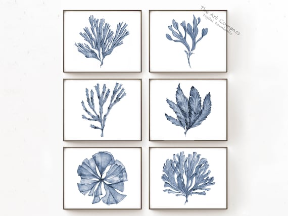 Printable Art 11x14 Blue Coral Sea Fan Print Set of 6 Prints | Etsy