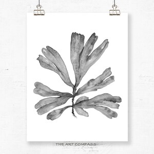 Printable Art Set of Four Prints, 8x10 16x20, Sea Fan Coastal Decor ...