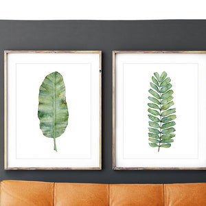 May include: Two framed watercolor prints of green leaves. The print on the left features a single large banana leaf. The print on the right features a cluster of smaller leaves.
