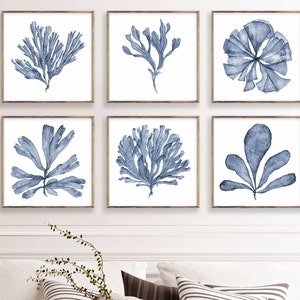Square Art Print Set of 6 Prints, Printable Wall Art Blue Sea Fan Watercolour Paintings, Coastal Theme Living Room Wall Decor 4x4 to 24x24