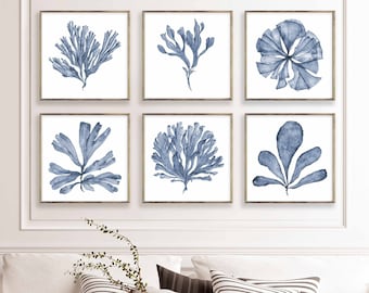 Square Art Print Set of 6 Prints, Printable Wall Art Blue Sea Fan Watercolour Paintings, Coastal Theme Living Room Wall Decor 4x4 to 24x24