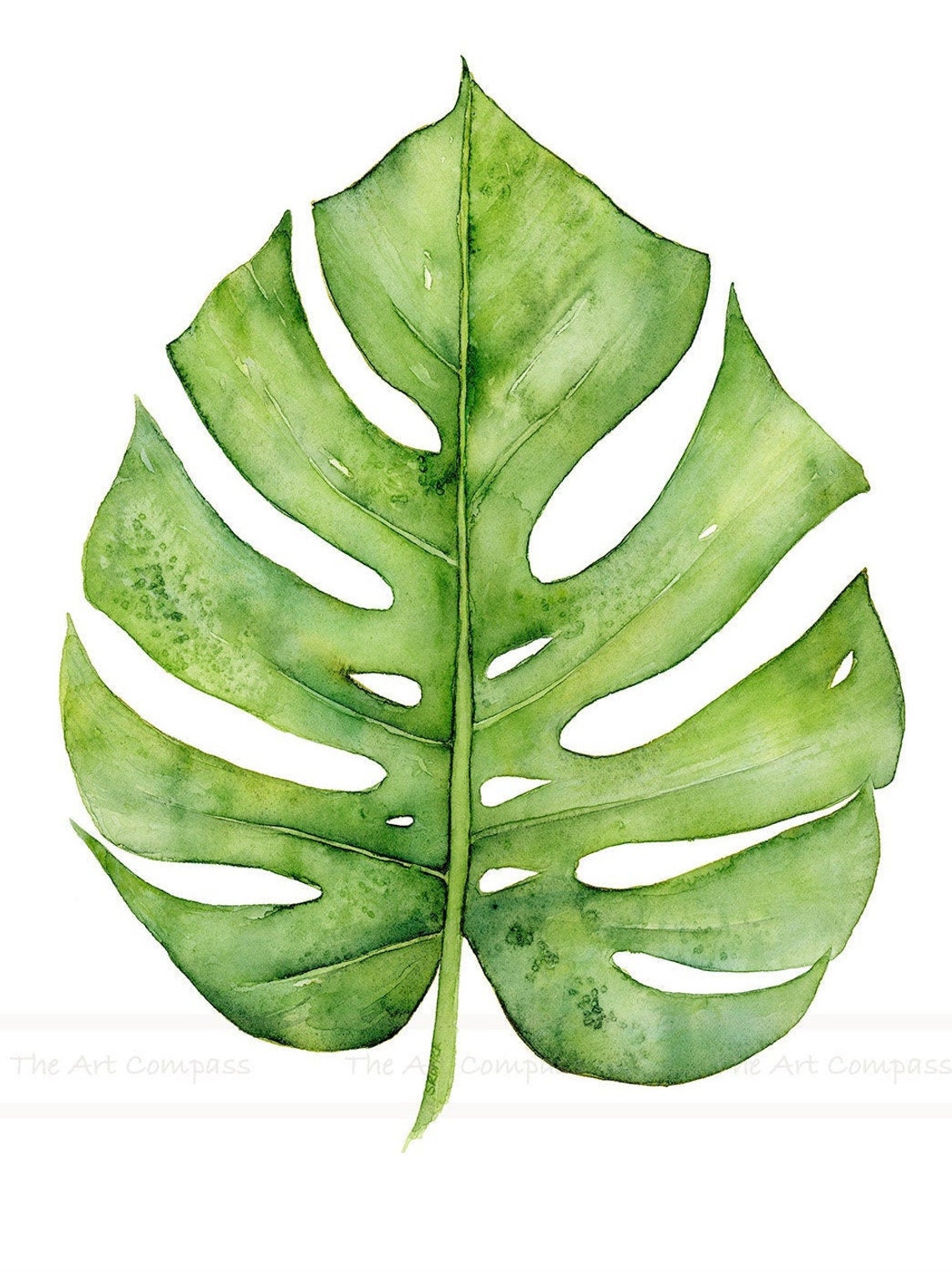 Printable Wall Art Botanical Prints Gallery Wall Set of 6 Etsy