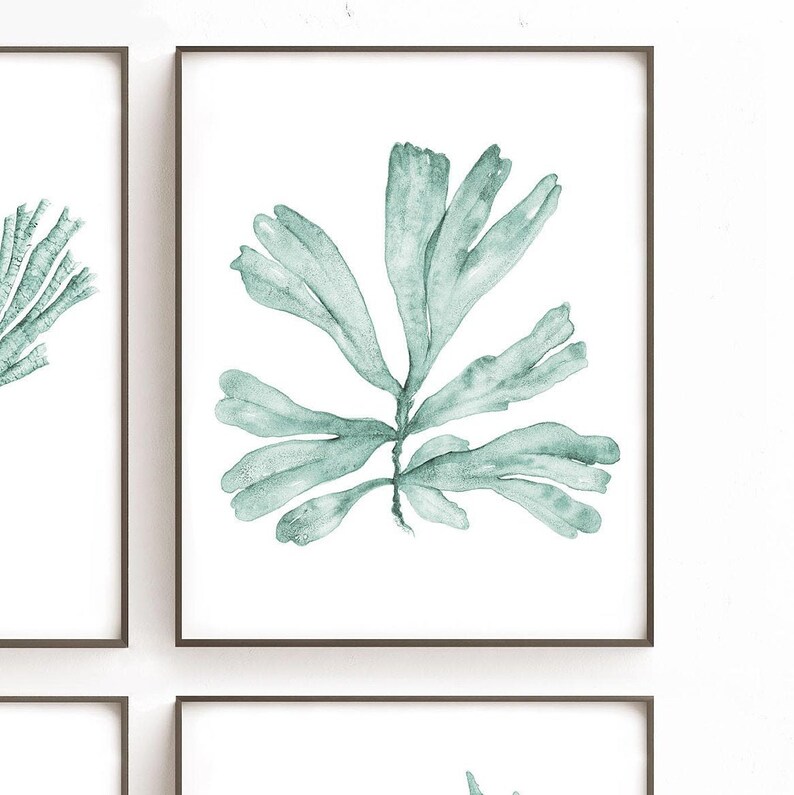 May include: A watercolor painting of a single, light green seaweed branch with a white background.