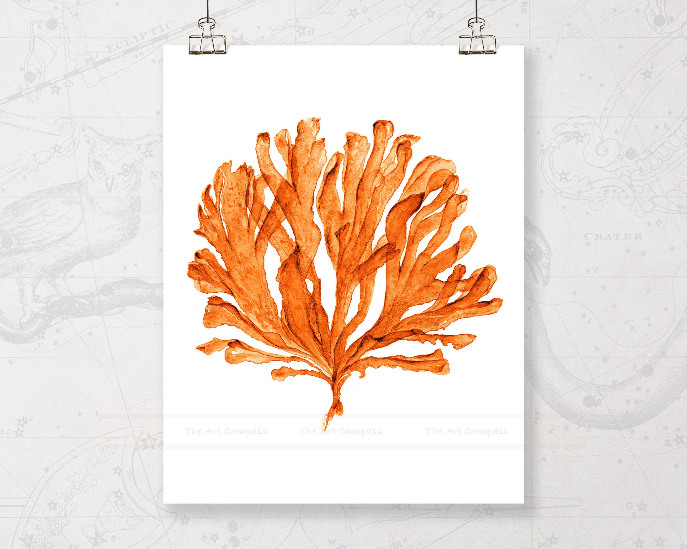 Coral Sea Fan Printable Wall Art Digital Prints Download in - Etsy