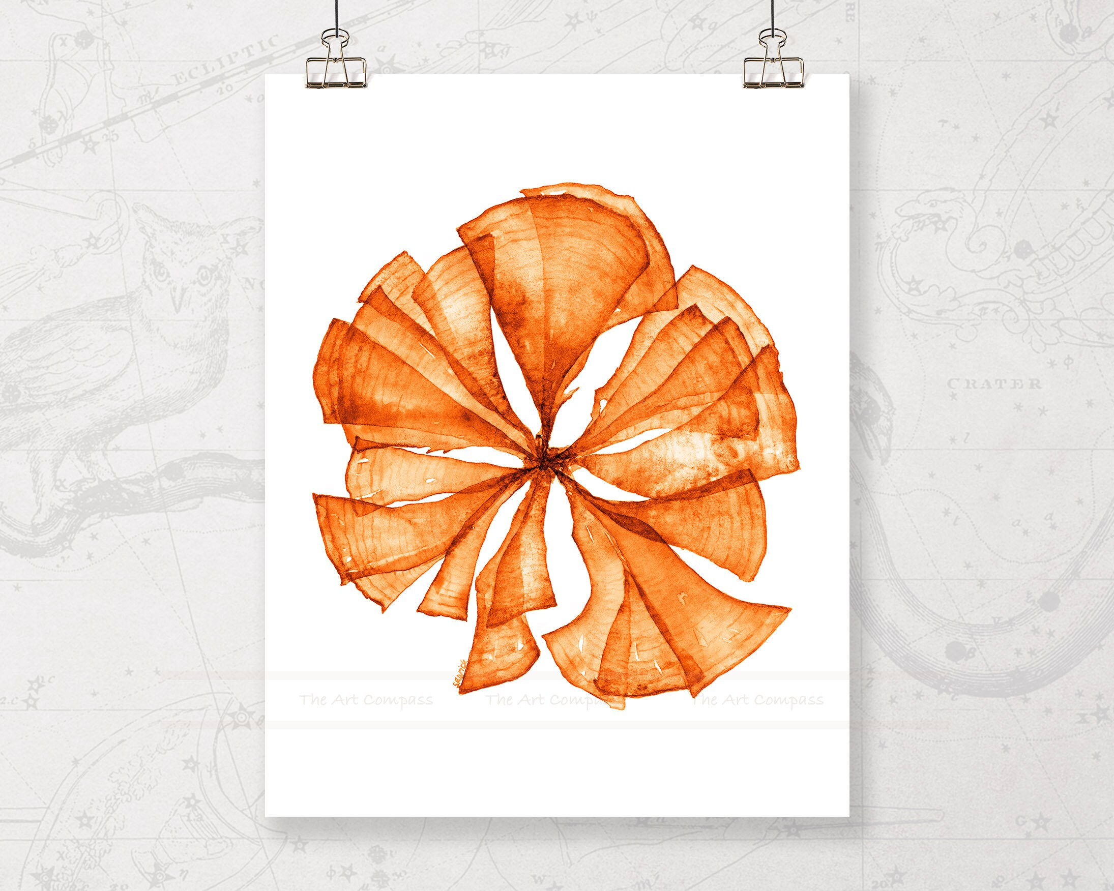 Coral Sea Fan Printable Wall Art Digital Prints Download in - Etsy