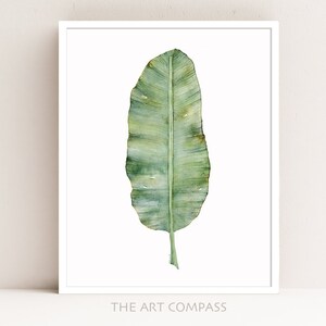May include: A watercolor painting of a single green banana leaf on a white background. The leaf is depicted in a realistic style with subtle variations in color and texture. The painting is framed with a white border and includes the text "THE ART COMPASS" at the bottom.