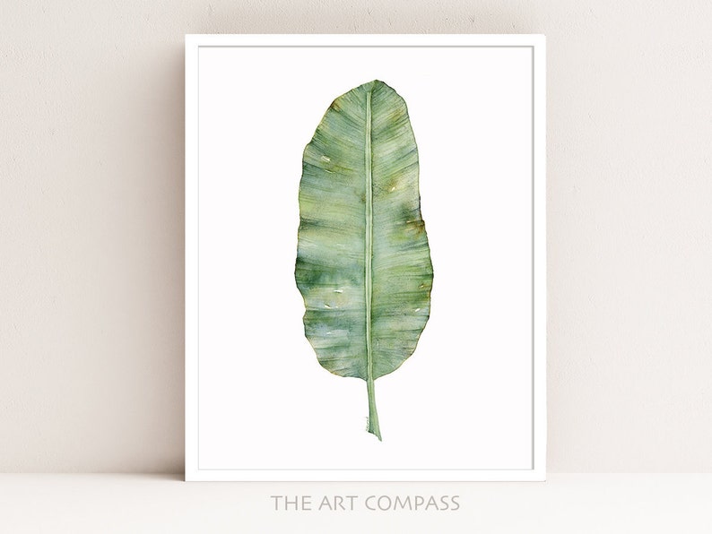 May include: A watercolor painting of a single green banana leaf on a white background. The leaf is depicted in a realistic style with subtle variations in color and texture. The painting is framed with a white border and includes the text "THE ART COMPASS" at the bottom.