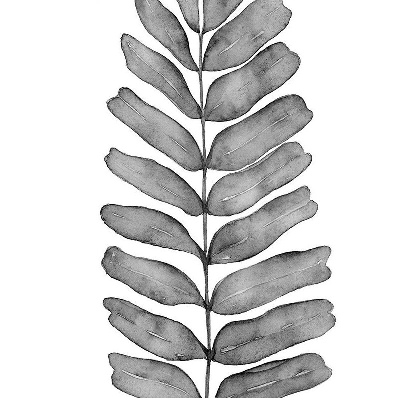 Printable Wall Art Botanical Leaf Black and White Digital | Etsy
