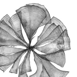 Printable Wall Art Botanical Print Set of 3 Watercolour Paintings ...