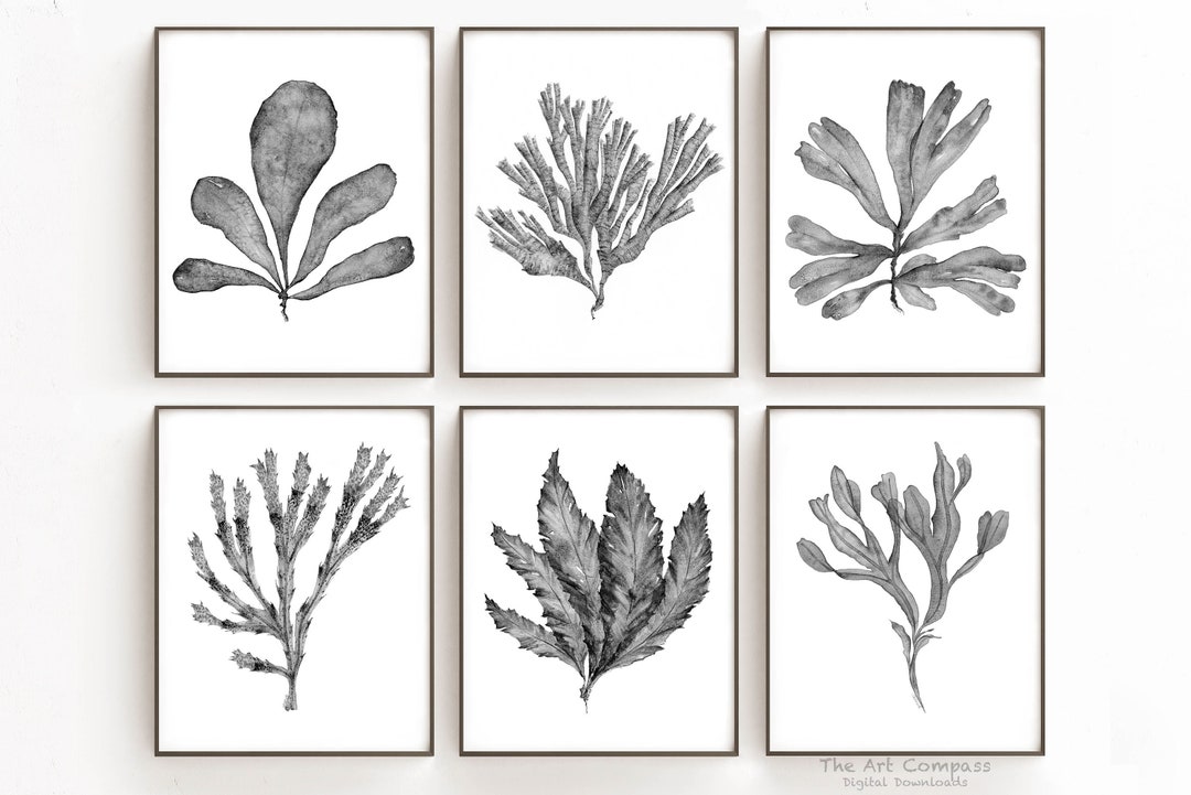 Printable Wall Art, Black and White Botanical Print Set of 6 Digital ...
