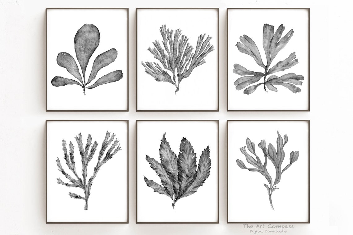 Printable Wall Art Black and White Botanical Print Set of 6 | Etsy