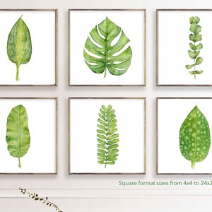 Printable Art Prints, Green Tropical Leaf Art, Botanical Gallery Wall Set of 6 Prints of Watercolor Paintings, Square Artwork for Walls