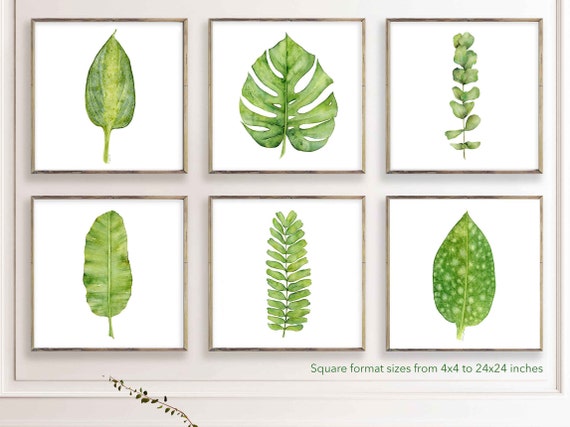 Printable Art Prints, Green Tropical Leaf Art, Botanical Gallery Wall Set of 6 Prints of Watercolor Paintings, Square Artwork for Walls