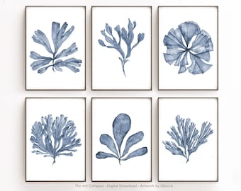 Juego de arte de pared imprimible de 6 impresiones, impresiones digitales, pinturas de acuarela de abanico de mar azul, decoración de pared de sala de estar de estilo Hamptons A2 A3 A4 A5 A6