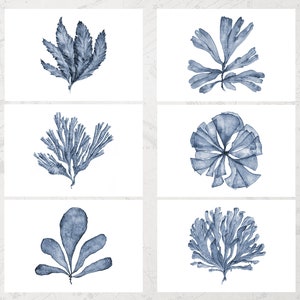 Printable Art Set of 6 Downloadable Prints, Landscape 5x7 International Sizes, Sea Fan Watercolor Painting Hamptons Style Coastal Wall Decor