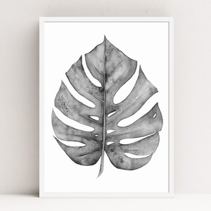 Puede incluir: Una pintura de acuarela en blanco y negro de una sola hoja de monstera.