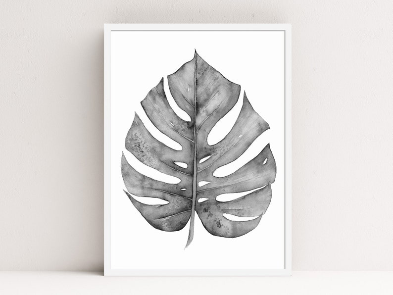 Puede incluir: Una pintura de acuarela en blanco y negro de una sola hoja de monstera.