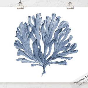 May include: A watercolor painting of blue seaweed on a white background. The seaweed is a light blue color and has a delicate, flowing shape.